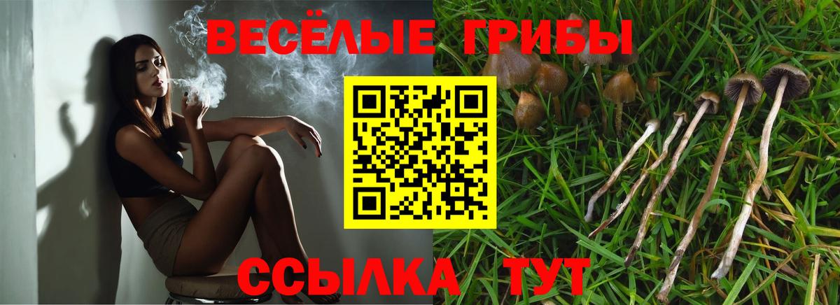 Псилоцибиновые грибы мухоморы  Вход с VPN  Псилоцибиновые грибы ЛСД  Избербаш 